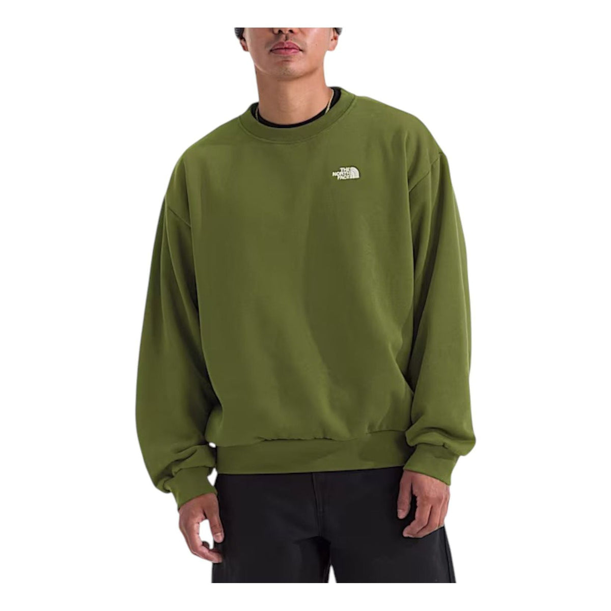 THE NORTH FACE Evolution Simple Dome Oversized 'Woodland Green' NF0A8FKR-BRI