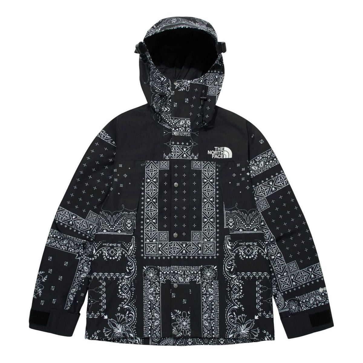 THE NORTH FACE Novelty Gore-Tex Mountain Jacket Asia Sizing 'Paisley Black' NJ2GM50E