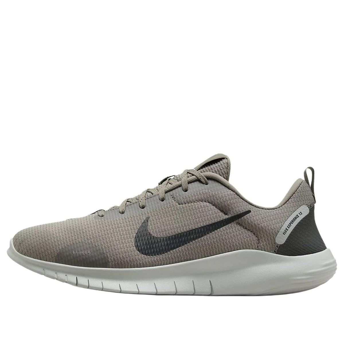 Nike Flex Experience Run 12 'Light Army Silver' DV0740-300