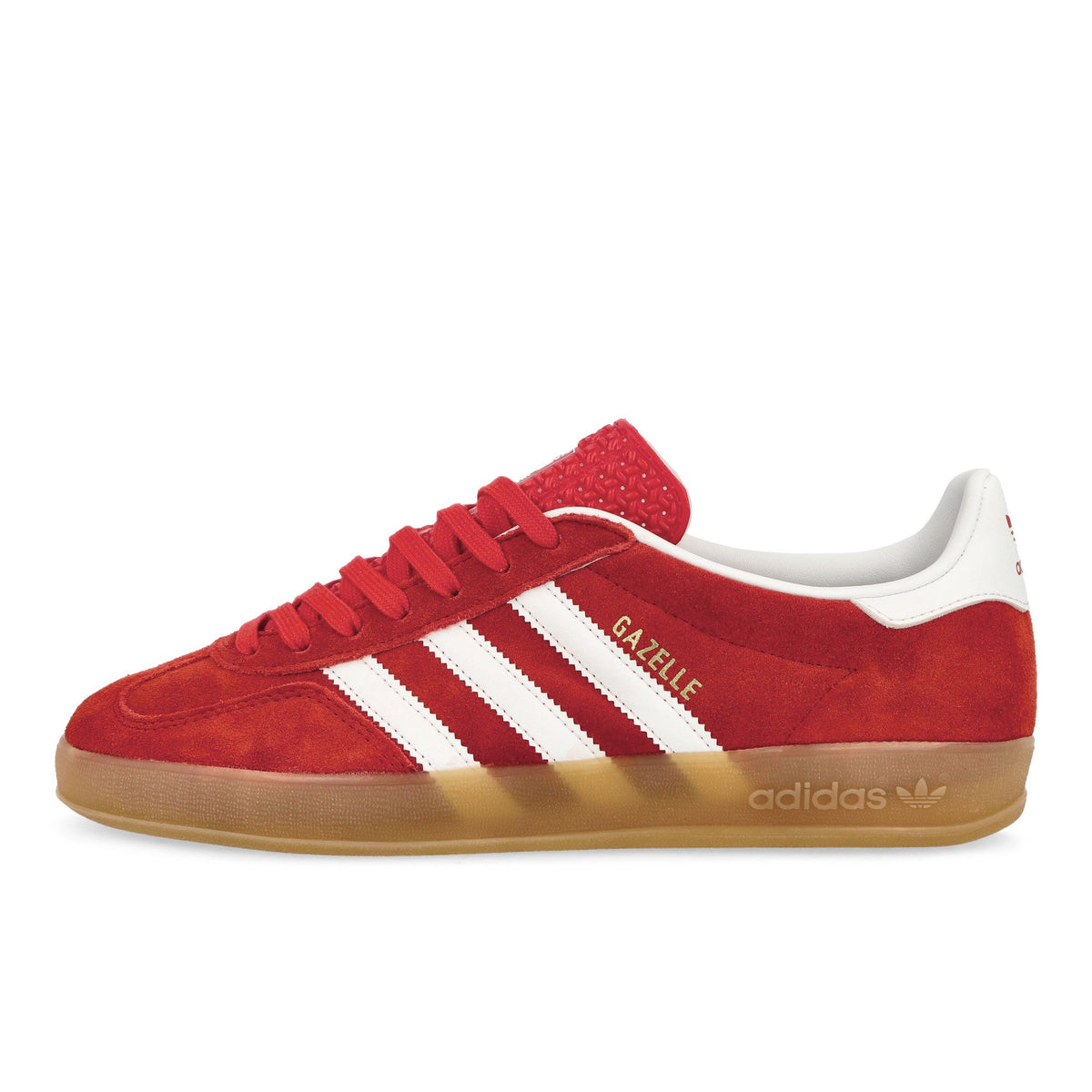 Gazelle Indoor