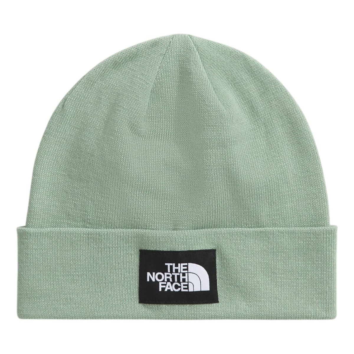 THE NORTH FACE Dock Worker Recycled Beanie 'Slate Moss' NF0A3FNTBQ1