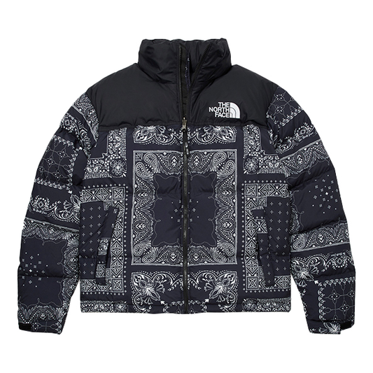 THE NORTH FACE 1996 Noobsy Nuptse Jacket NJ1DM96B