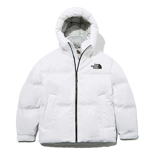 THE NORTH FACE 1996 Nuptse eco NJ1DL80J